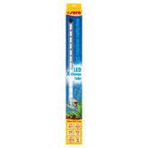 sera LED Daylight Sunrise